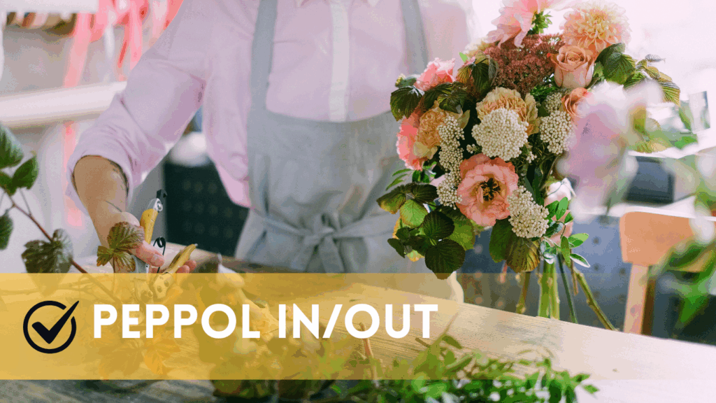 SCDi - sage cloud demat invoicing peppol in - peppol out - peppol pas cher - facturation électronique - devis, factures, articles, factures illimitées