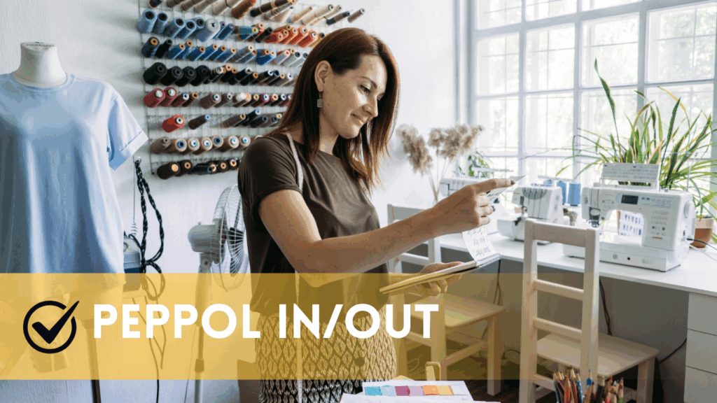 Facturation électronique pas cher pour les indépendants & TPE, freelances, consultants - Logiciel PEPPOL - E-invoicing B-to-B 01/01/2026